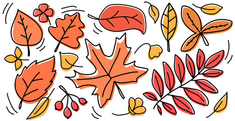Fototapeta na wymiar Autumn yellow and orange leaves set. Isolated on white background vector illustration. Trees foliage elements for seasonal greeting card designs.