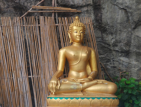 Buddha image in Wat Phra Phutthachai meditating behind the bamboo in the temple