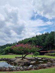Fototapeta premium lake in the forest