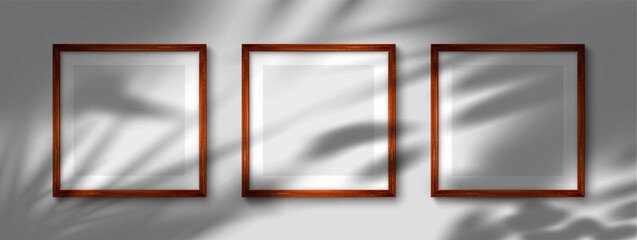 Realistic brown picture frame with blank pano for your design. Frame with overlay tropical shadow from the window. Vector illustration Ai 10, Eps 10 and Jpeg