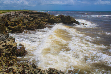 Coast of Cozumel, Mexico on the east side