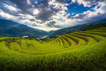 Fototapeta premium Sunset over Terraced rice fields, Mu Cang Chai, Yen Bai, Vietnam