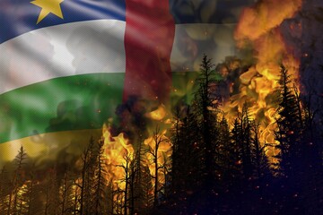Forest fire fight concept, natural disaster - heavy fire in the woods on Central African Republic flag background - 3D illustration of nature