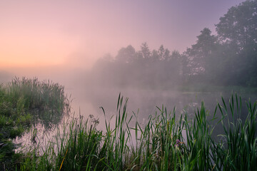 Fototapeta na wymiar morning fog over the river