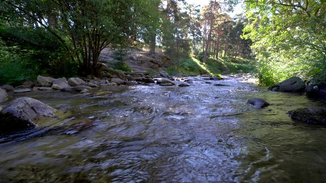 Fresh water river between tall trees in the mountain.