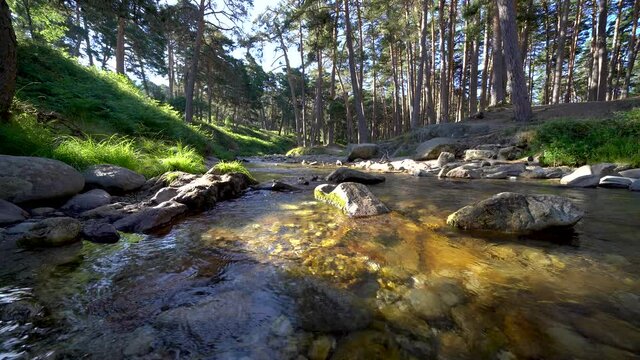 Transparent stream of water in the Sierra de Madrid.