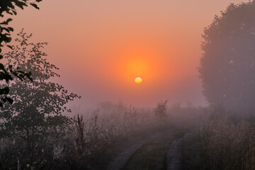 Obraz na płótnie Canvas sunrise in the fog