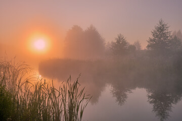 morning mist over the river