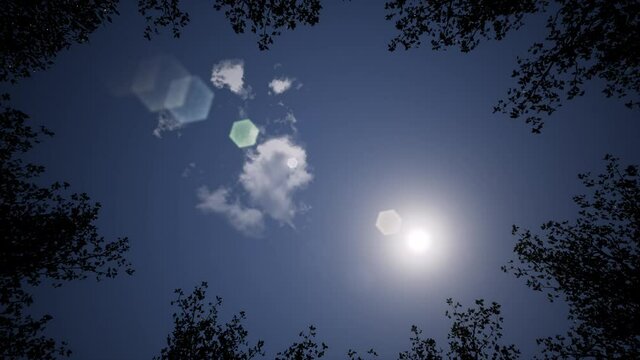 An aerial shot of moving to the sun from the tree folia