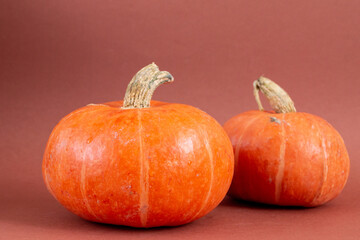 orange pumpkin isolated on brown background, empty space for text 
