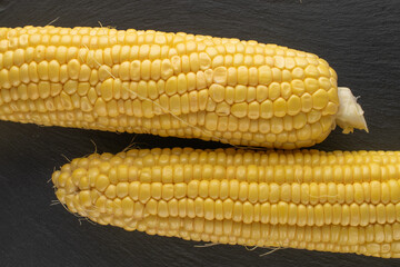 Two cobs of organic sweet corn on a slate stone, close-up, top view.