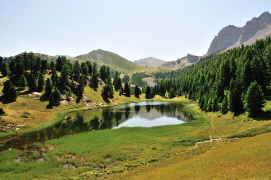 Lac miroir et for&ecirc;t de pins au-dessus du village de Ceillac, Parc naturel r&eacute;gional du Queyras, Alpes du Sud, France.