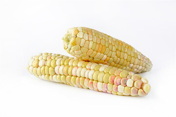corns fresh, peeled corn on white