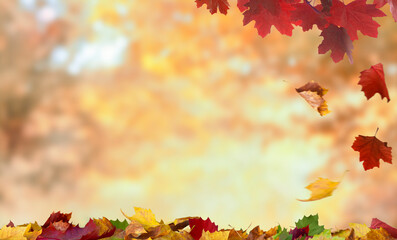 Naklejka premium maple leaves on the autumn background with copy space 