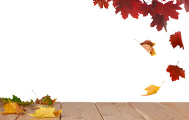 isolated maple leaves with wooden floor in the white background with copy space	