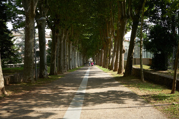 Olot