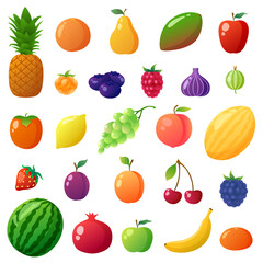 Big set of the clip art fruits. Vector illustration of food