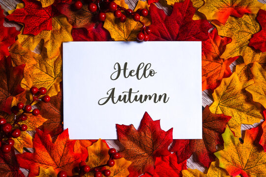 Hello autumn writing on white card surrounded by colorful maple leaves and red berries. Autumn & fall composition.