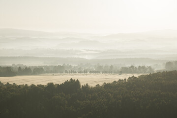 Felder und Wald im Sonnenaufgang mit Nebel im Hintergrund.