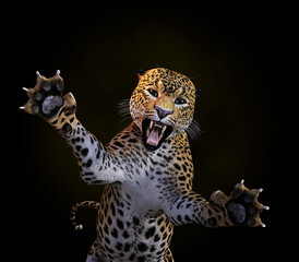 3D Leopard attacking
