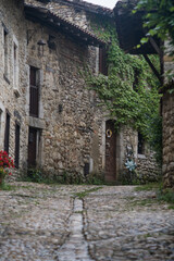 Old medieval stone village in Perouges France