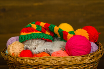 Cute kitten wearing warm hat sleeps inside a basket with clews of thread