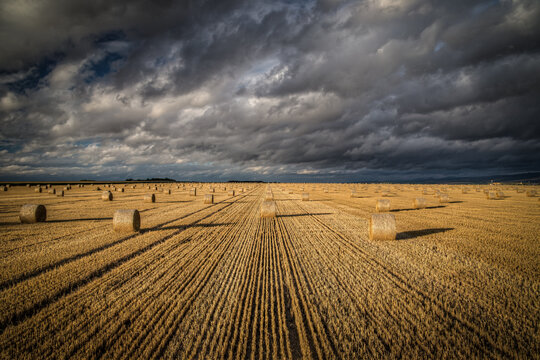 heystack in the field