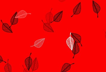 Fototapeta premium Light Red vector doodle backdrop.