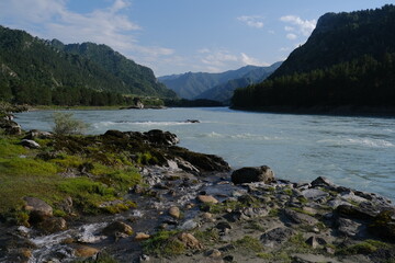 The Katun River, Altai. Mountain river flowing among the mountains. Sunny day.