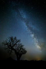 Fototapeta na wymiar Capturing Milky Way in Beja fields.