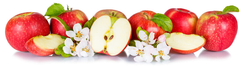 Apples fruits red apple fruit collection with leaves and blossoms in a row isolated on a white background