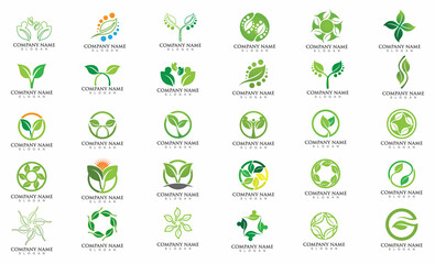 Leaf Tree Green Logo Nature Vector