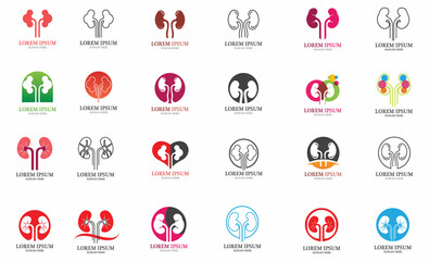 Kidney Vector Illusrtation Design Logo Template