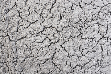 Cracks in the concrete wall.
