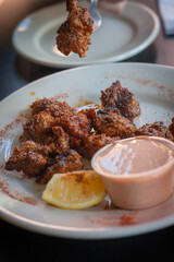 alligator bites