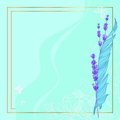 Fototapeta na wymiar Light set with lavenderflowers and blue feather. Wedding card.