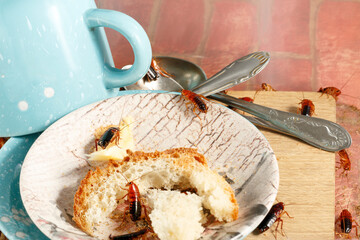 close-up of a cockroaches on a pink plate. Blue cup and metal spoons in the background. Pest...