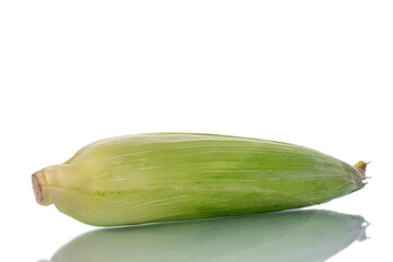 One unpeeled ear of corn, close-up, isolated on white.