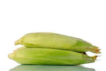Two unpeeled ears of corn, close-up, isolated on white.