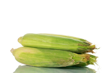 Several unpeeled ears of corn, close-up, isolated on white.