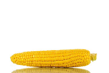 One peeled ear of corn, close-up, isolated on white.