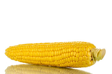 One peeled ear of corn, close-up, isolated on white.