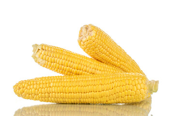Three peeled ears of corn, close-up, isolated on white.