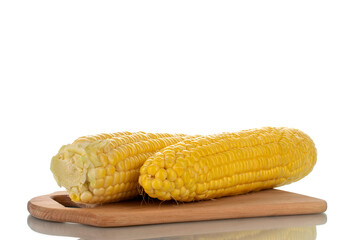 Two fresh cobs of sweet corn on a wooden board, close-up, isolated on white.