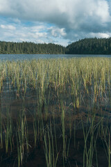 Tjuvåstjernet Lake of the Totenåsen Hills, Norway.