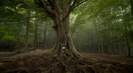 Woman hugging the last uncut tree