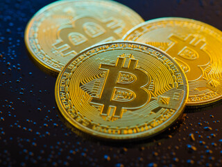 Bitcoins are a globally popular cryptocurrency. Electronic money, growth and fall of the exchange rate, financial flows, risk, wealth. Close-up. Dark brown structured background.