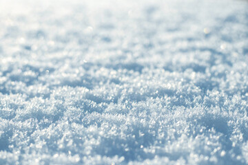 Snow texture with fluffy snow in sunny weather, winter background