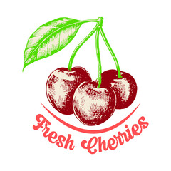 Fresh cherries slogan t shirt design