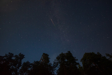 Perseids meteor shower of 2021 in the sky over the trees, Russia, Leningrad oblast
